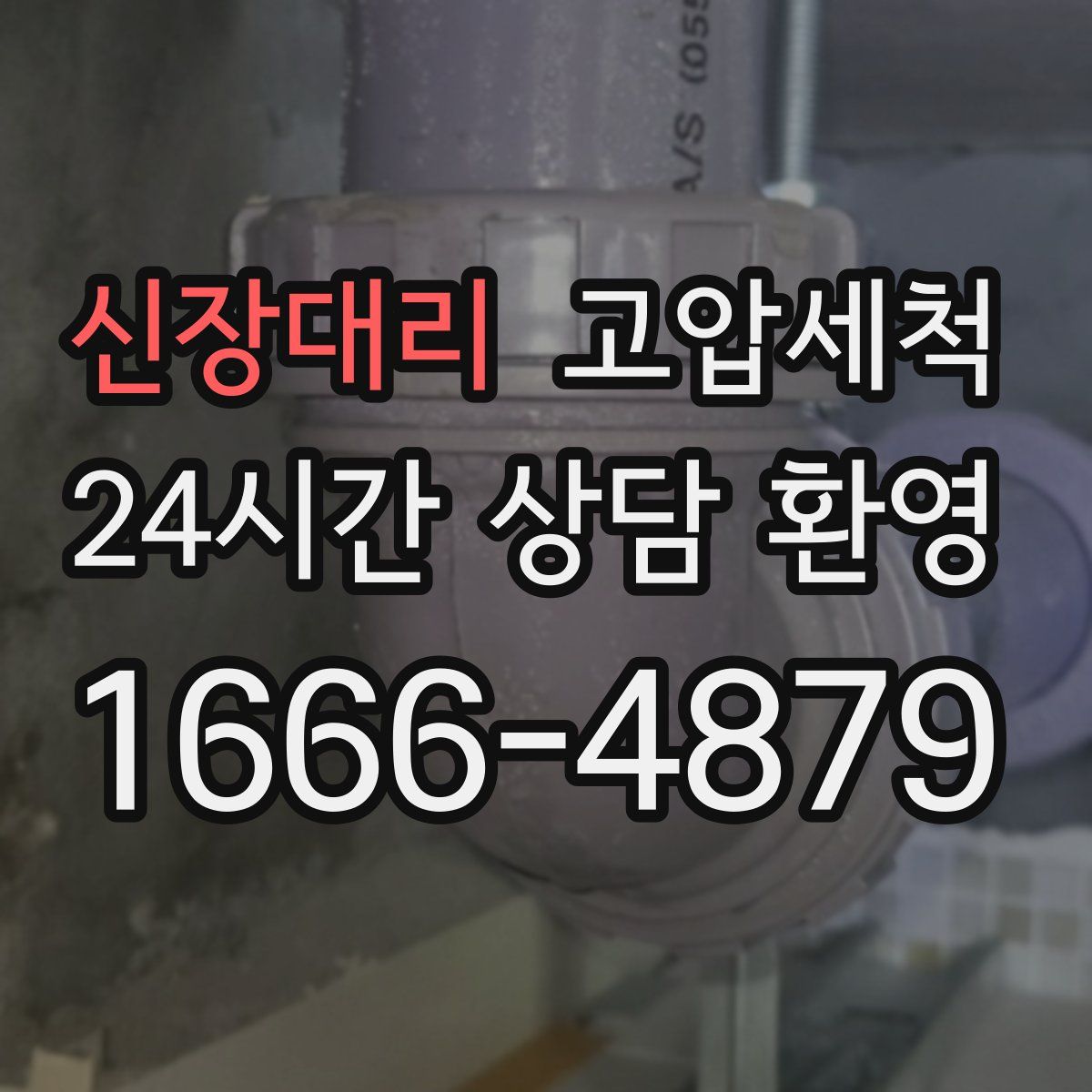 신장대리 고압세척