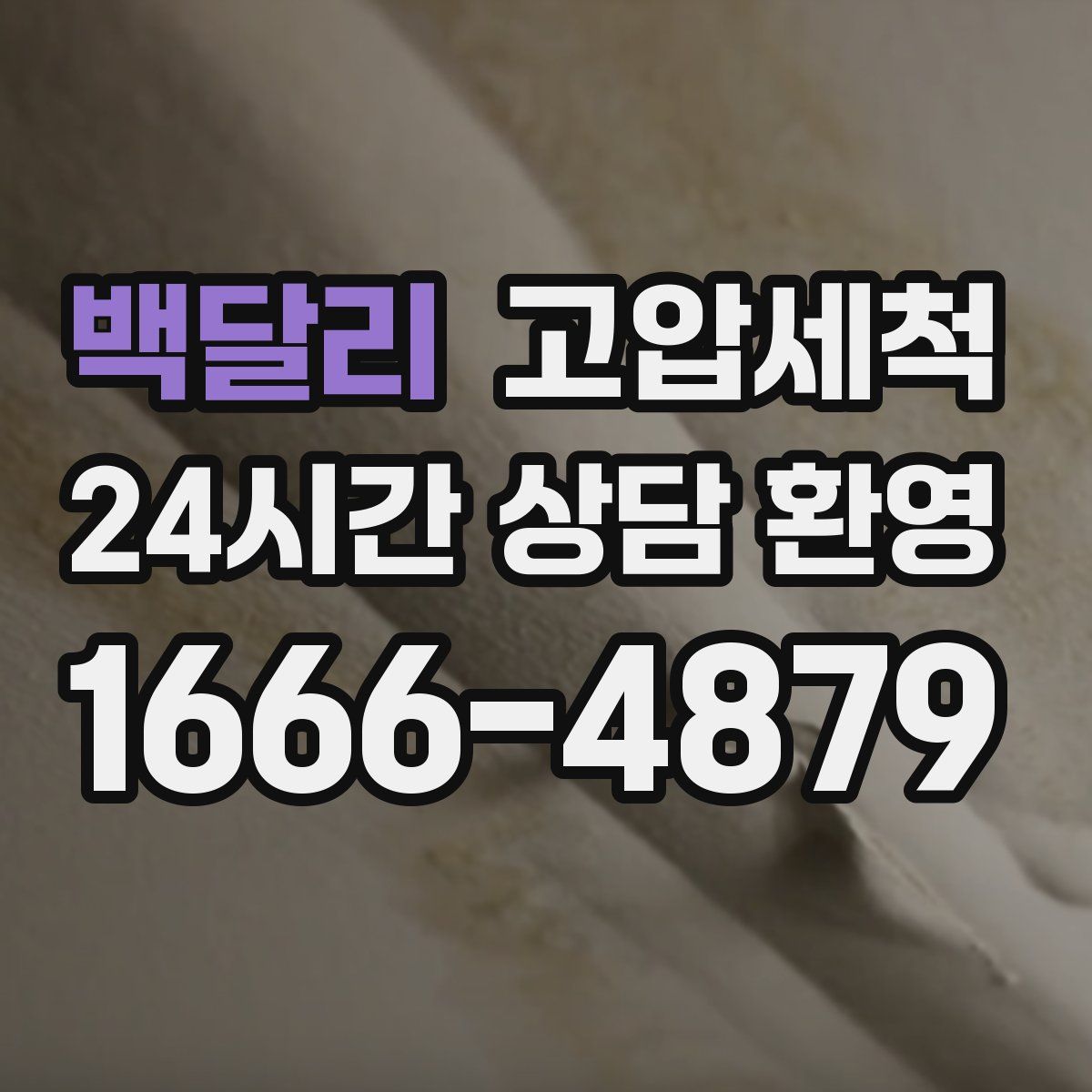 백달리 고압세척