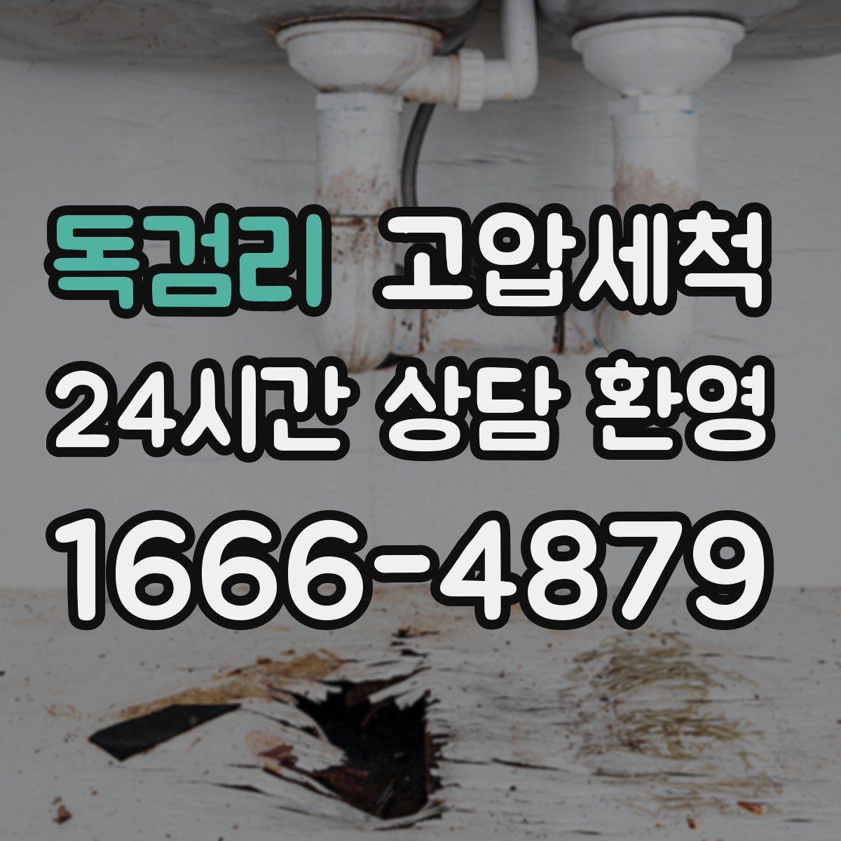 독검리 고압세척