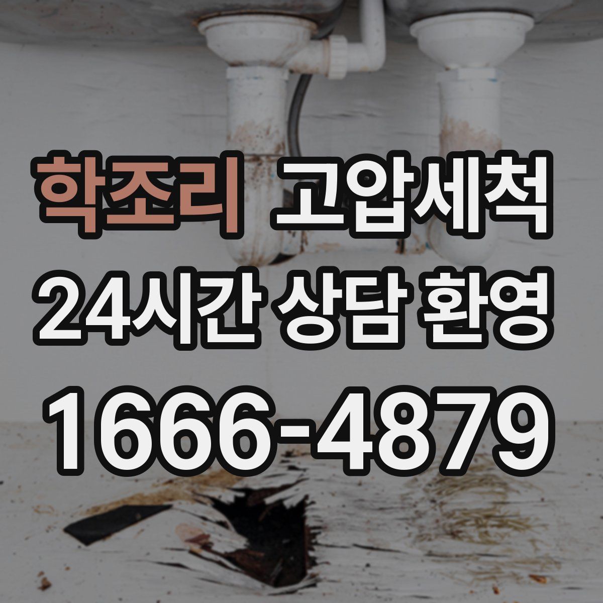 학조리 고압세척