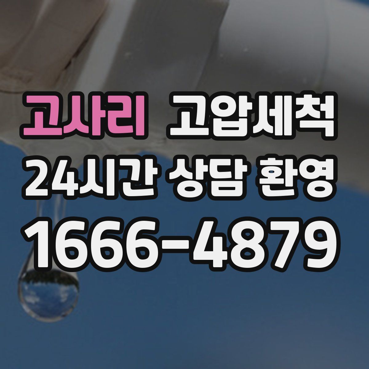 고사리 고압세척