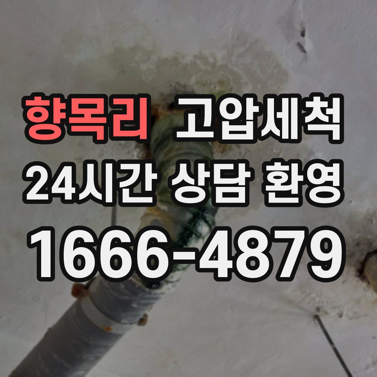 향목리 고압세척