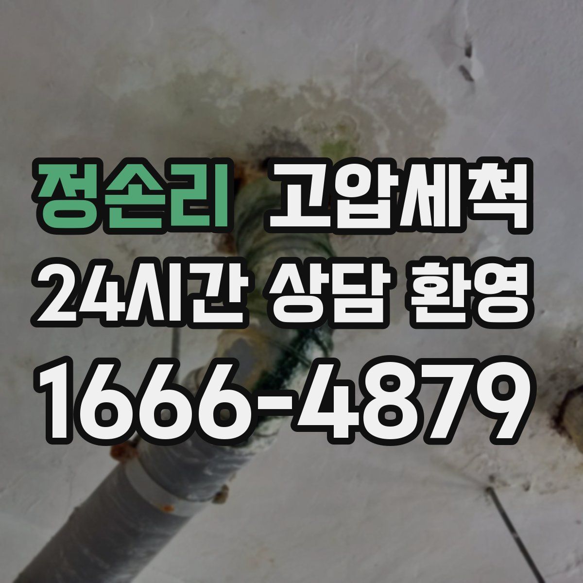 정손리 고압세척