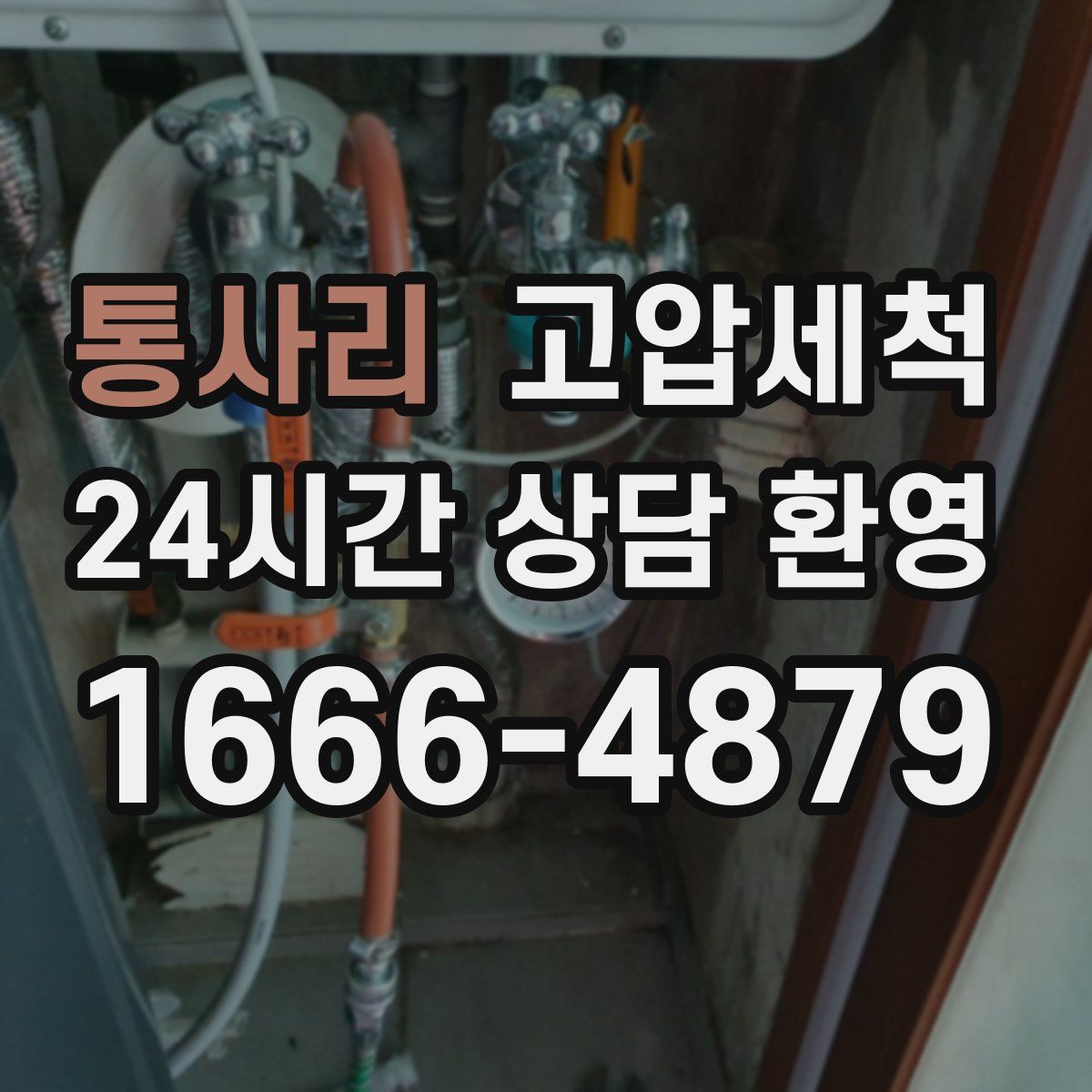 통사리 고압세척