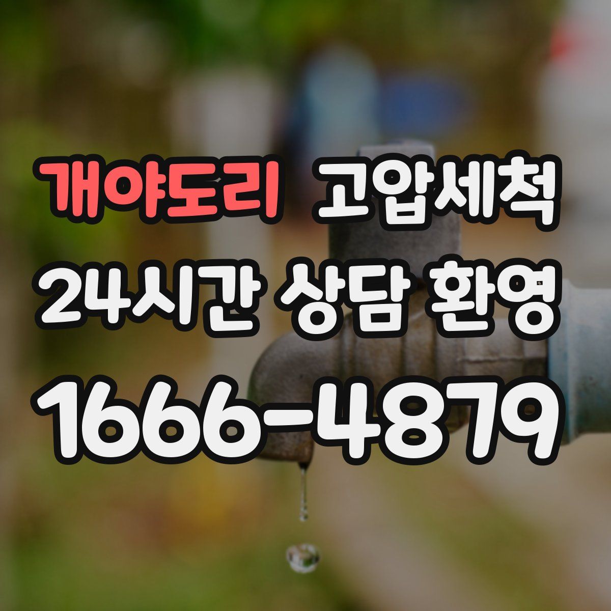 개야도리 고압세척