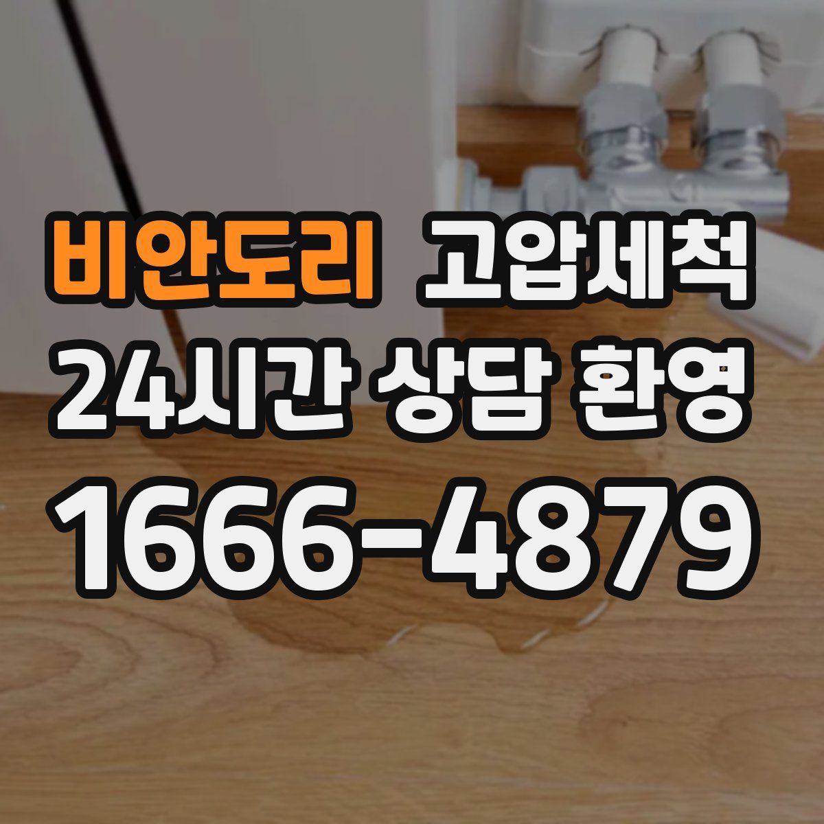 비안도리 고압세척