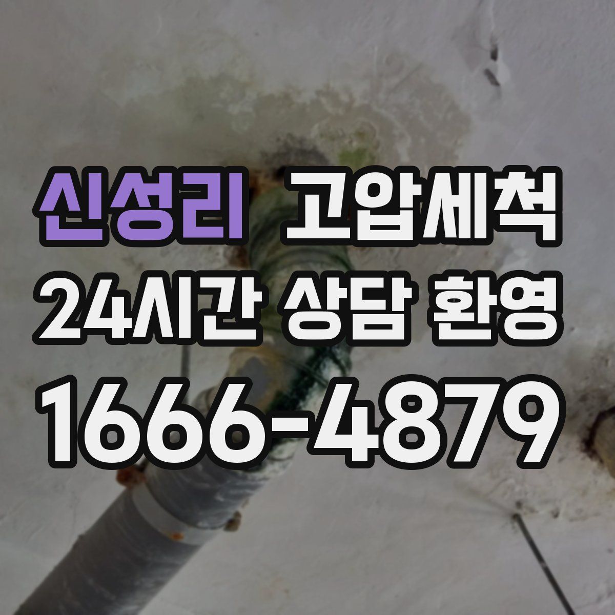 신성리 고압세척