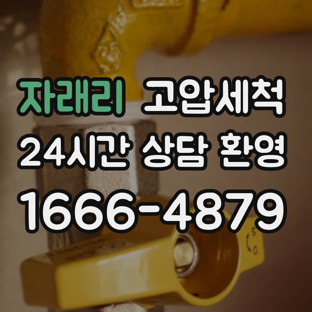 자래리 고압세척