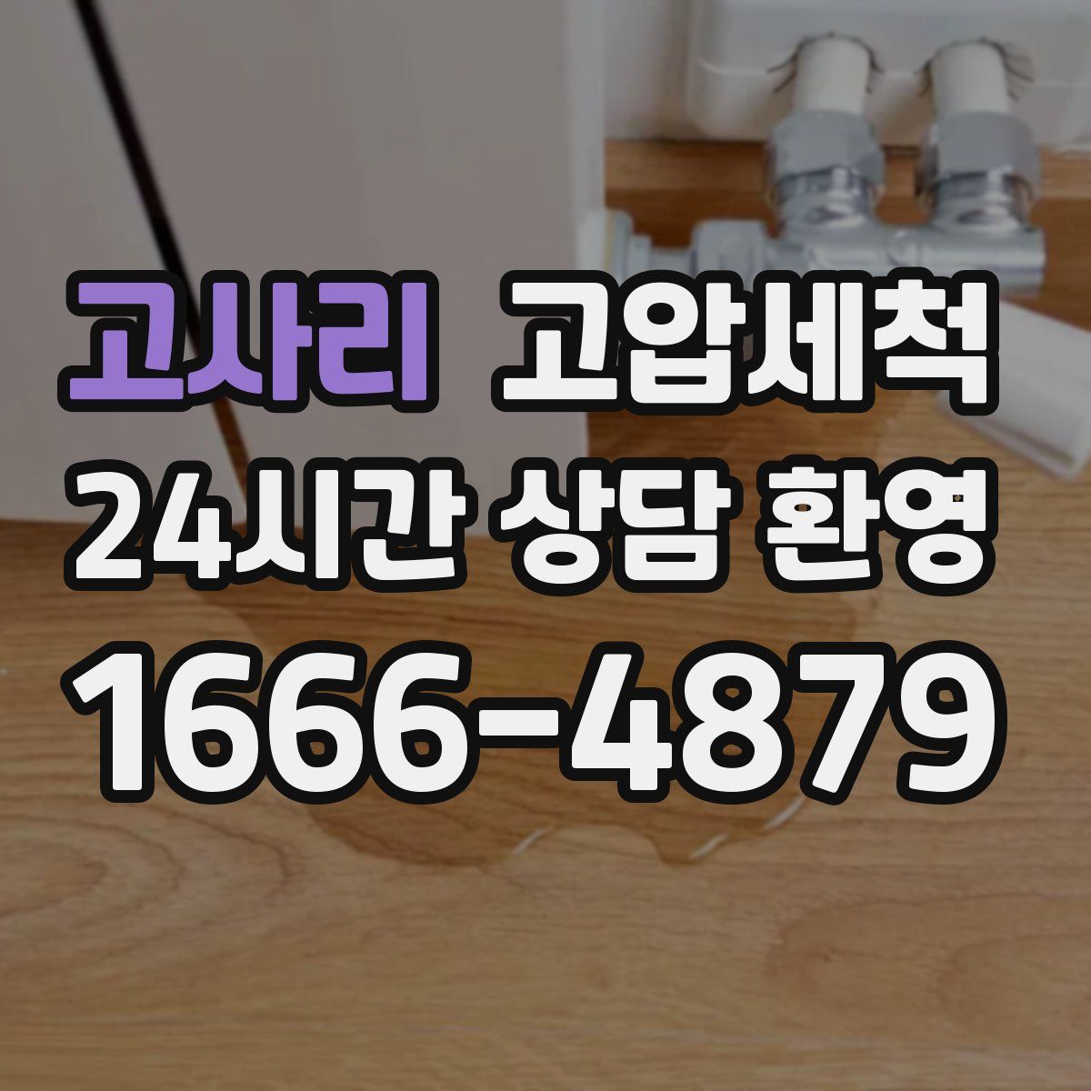 고사리 고압세척