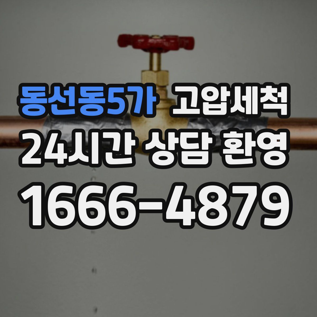 동선동5가 고압세척