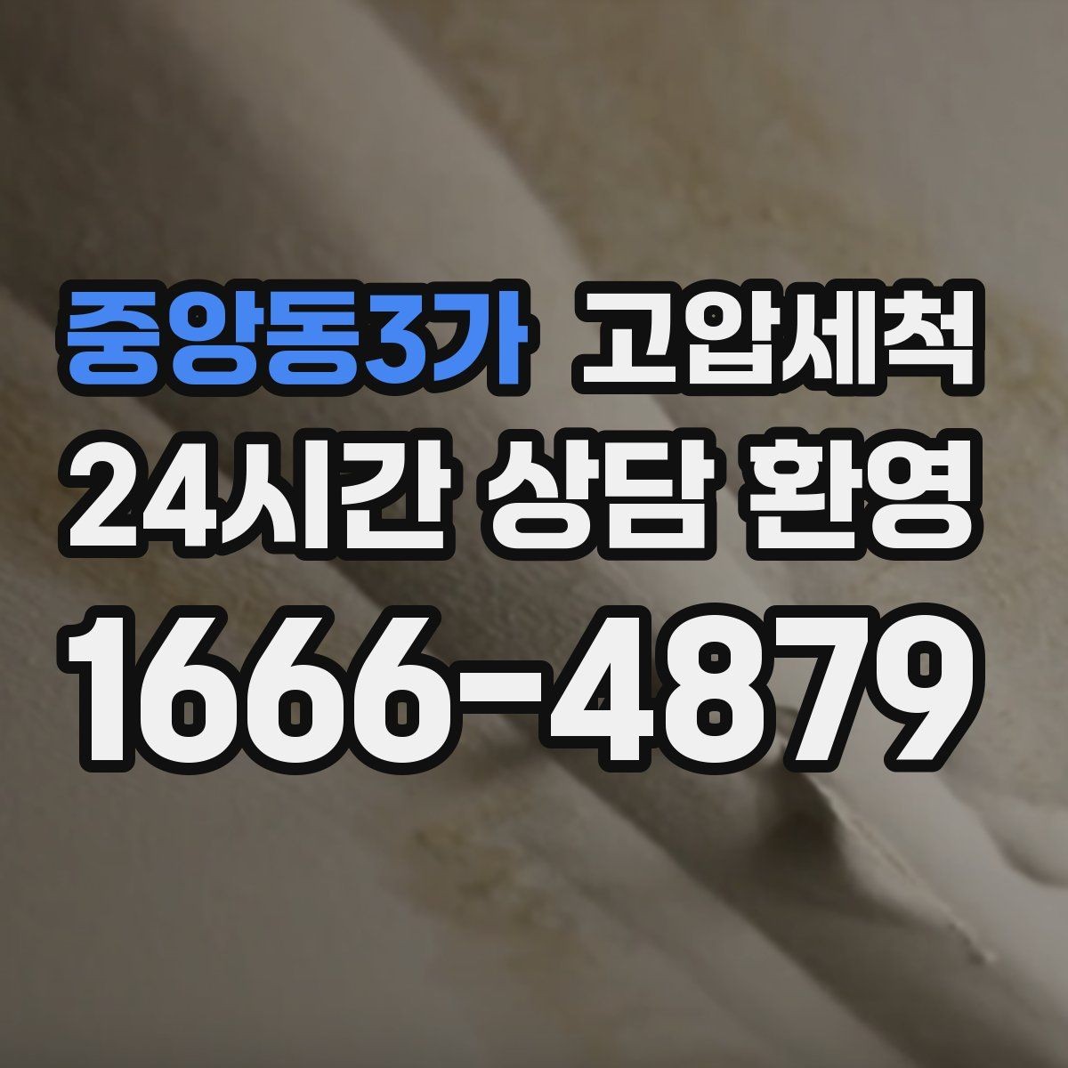 중앙동3가 고압세척 하수구 배관 청소 반려동물 가정 배려