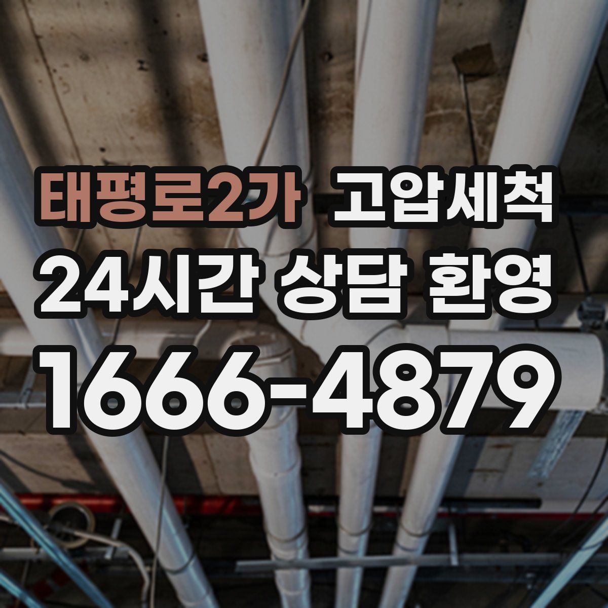 태평로2가 고압세척