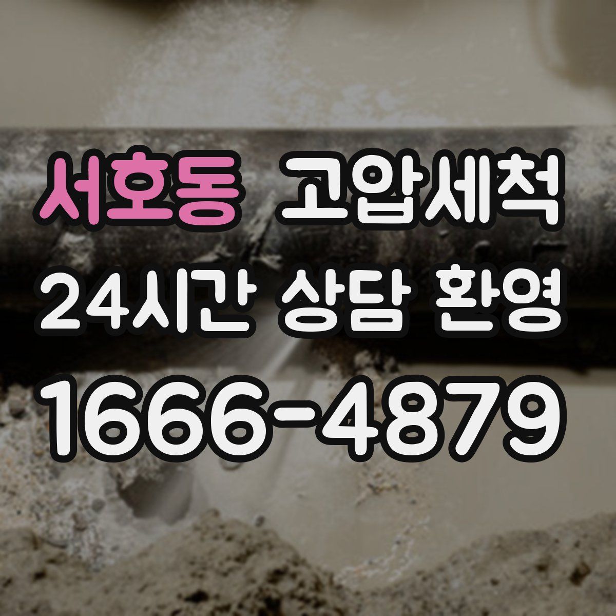 서호동 고압세척