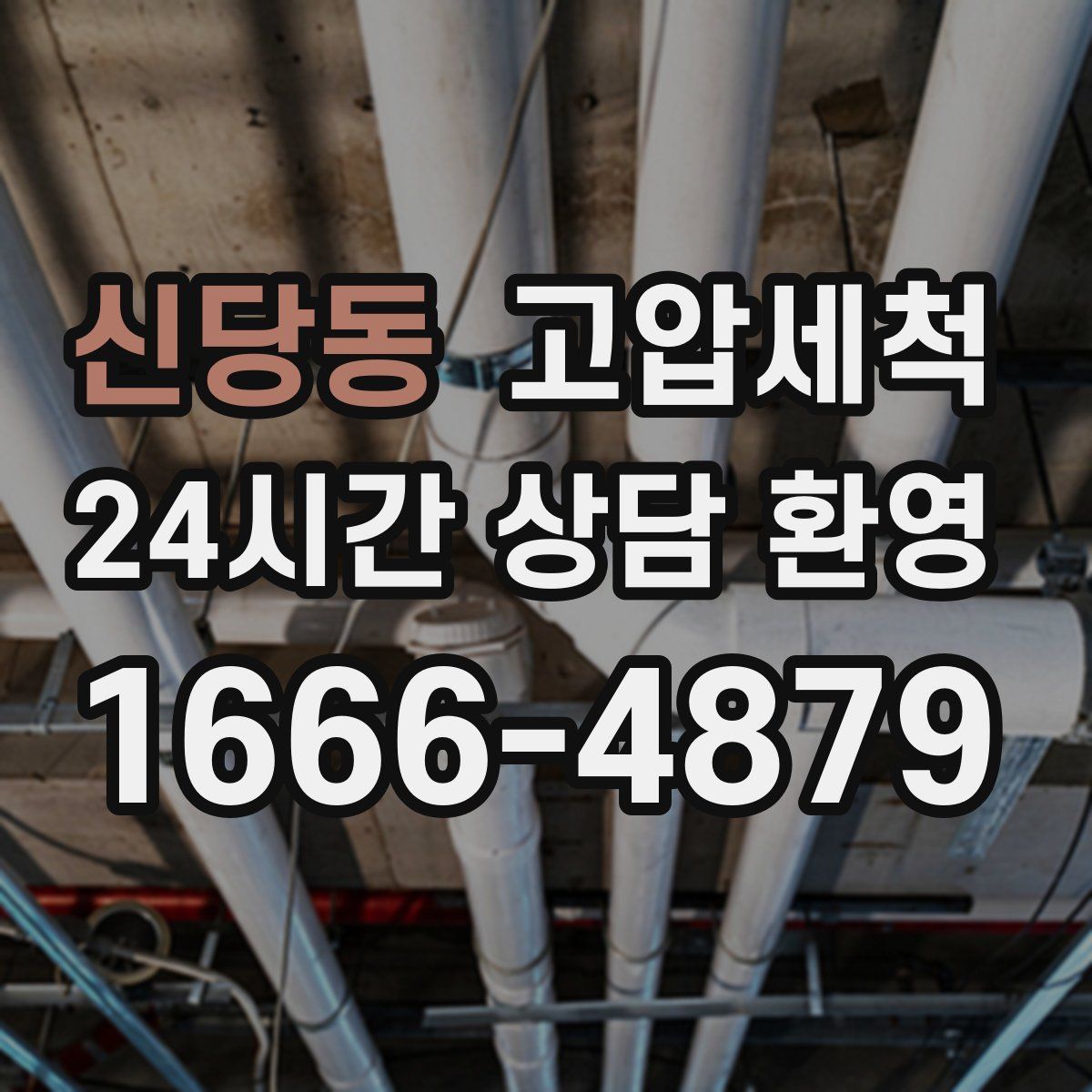 신당동 고압세척