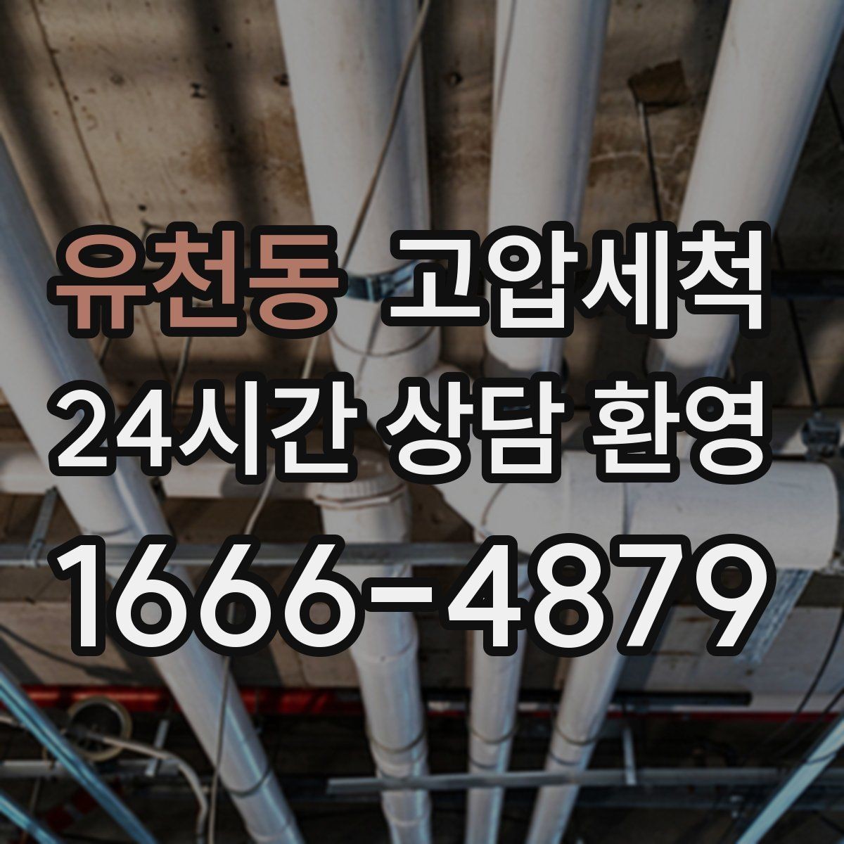 유천동 고압세척 화장실 하수구 냄새 새벽 집중 케어