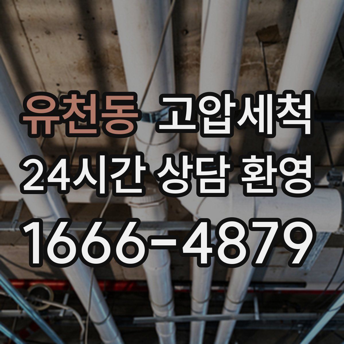 유천동 고압세척