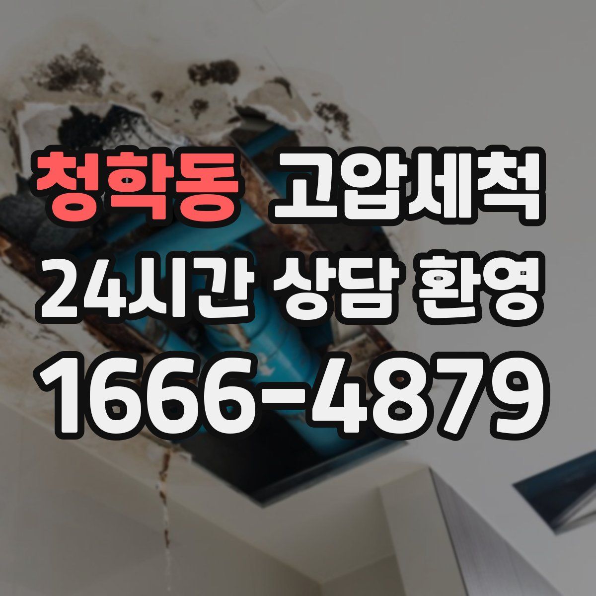 청학동 고압세척