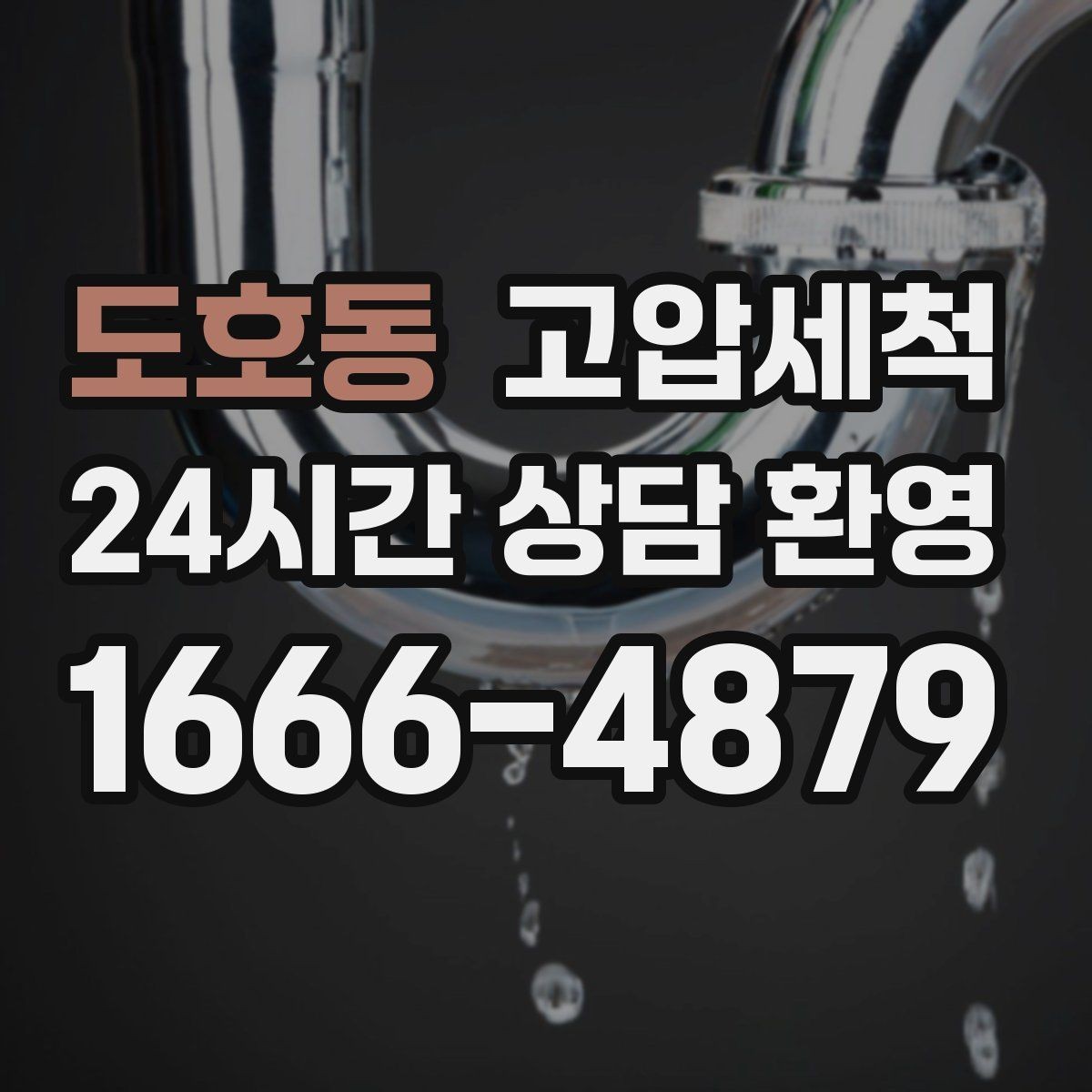 도호동 고압세척 하수구 배관 청소 카페·레스토랑 위생