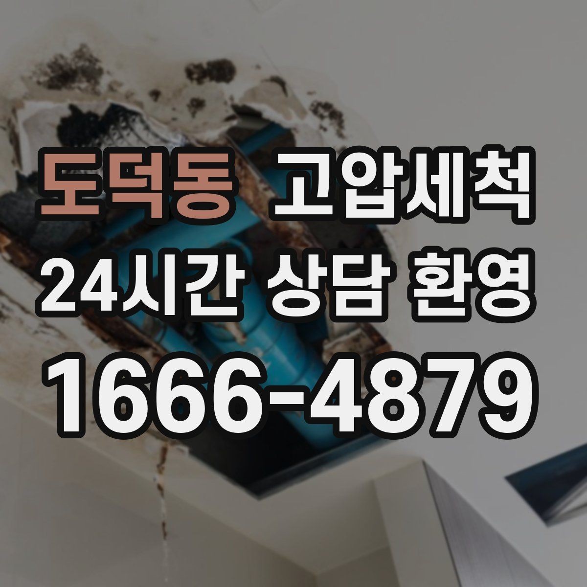 도덕동 고압세척 화장실 하수구 냄새 현관 잔향 제로 목표
