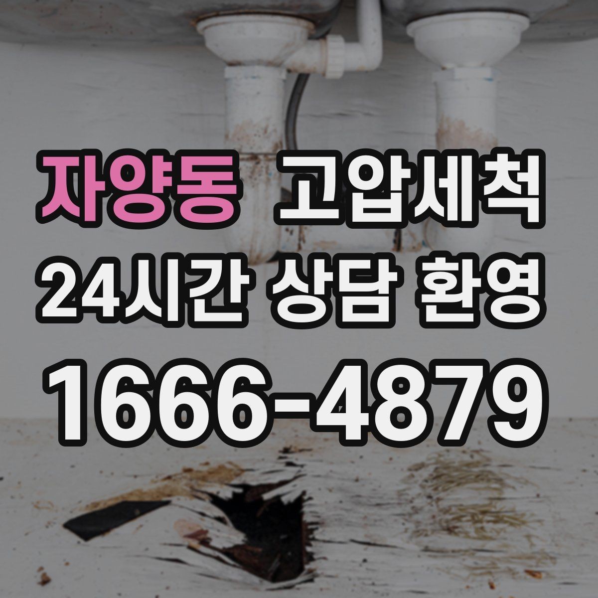 자양동 고압세척 화장실 하수구 냄새 반지하 특화 케어