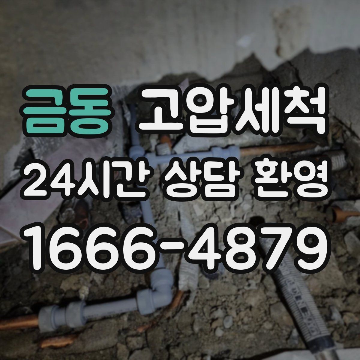 금동 고압세척 화장실 하수구 냄새 문틈 확산 차단