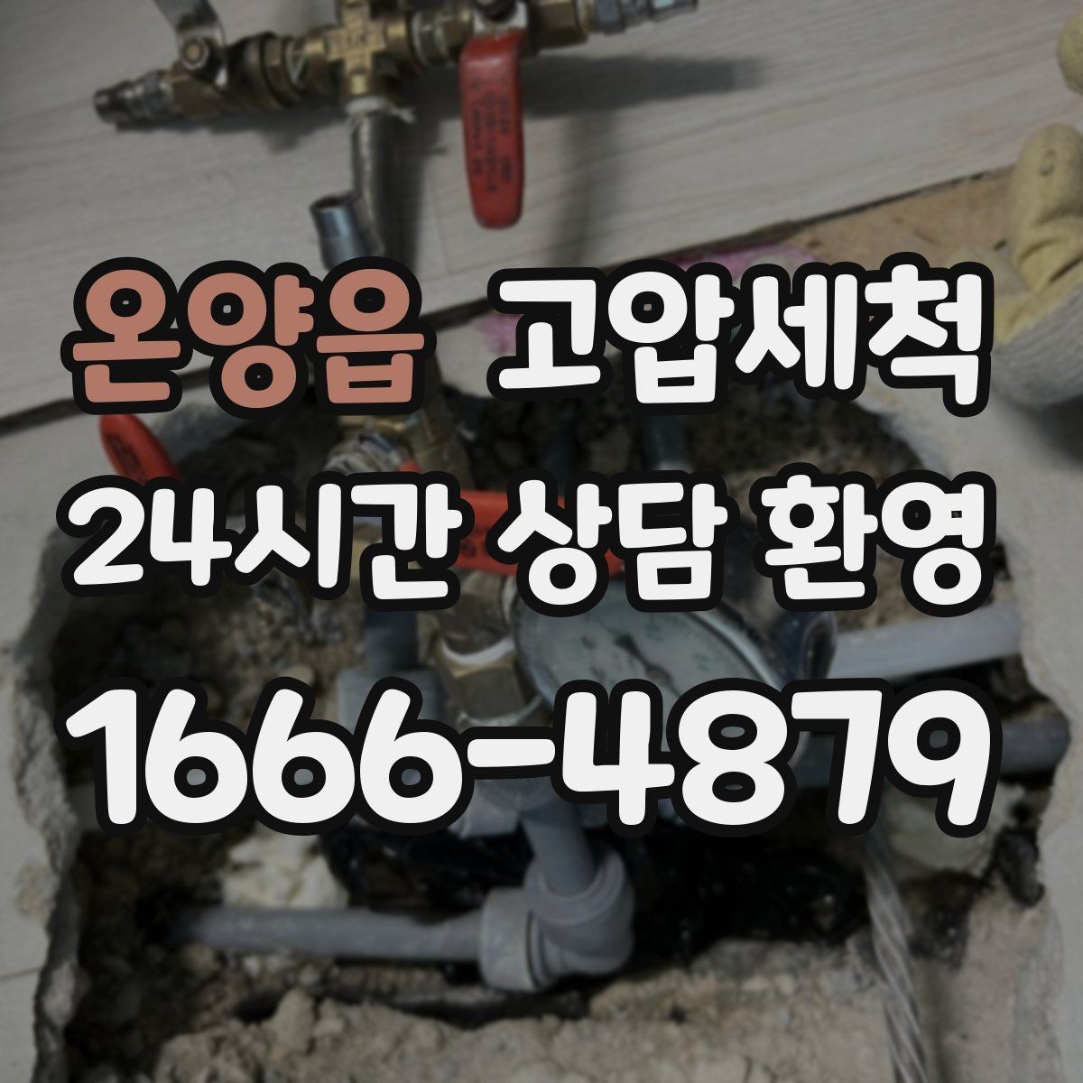 온양읍 고압세척 하수구 배관 청소 반려동물 가정 배려