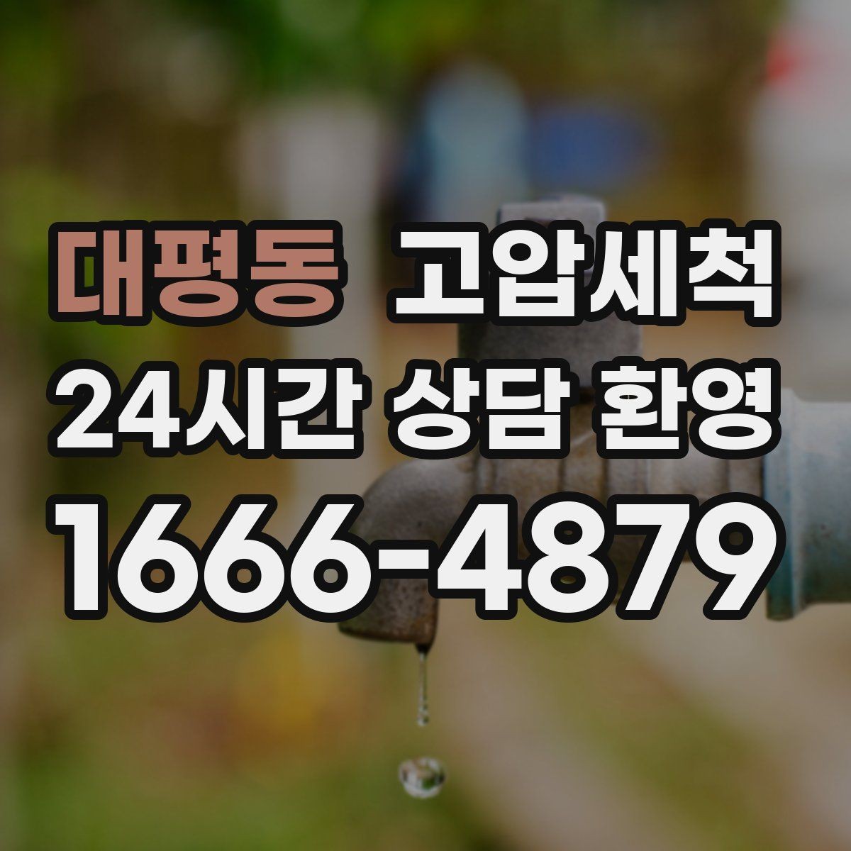 대평동 고압세척 현관 확산 전 차단 작전