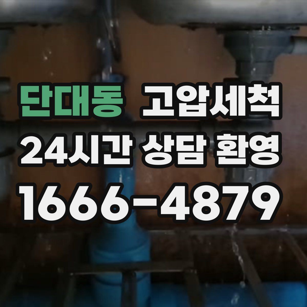 단대동 고압세척 화장실 하수구 냄새 현관 앞 잔향 제로