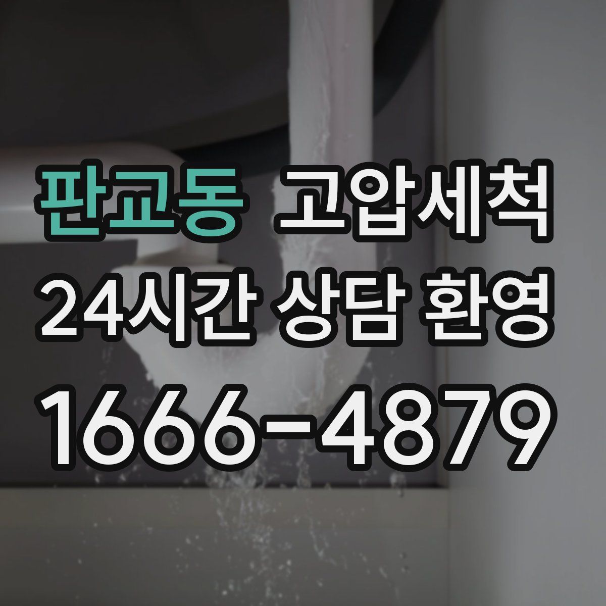 판교동 고압세척