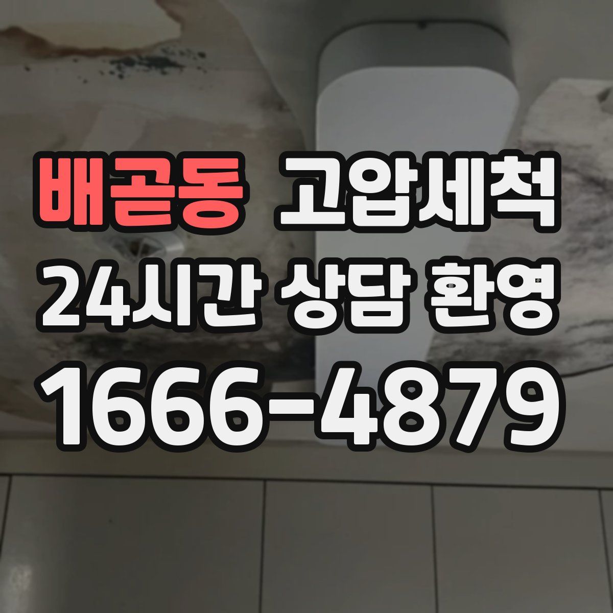 배곧동 고압세척