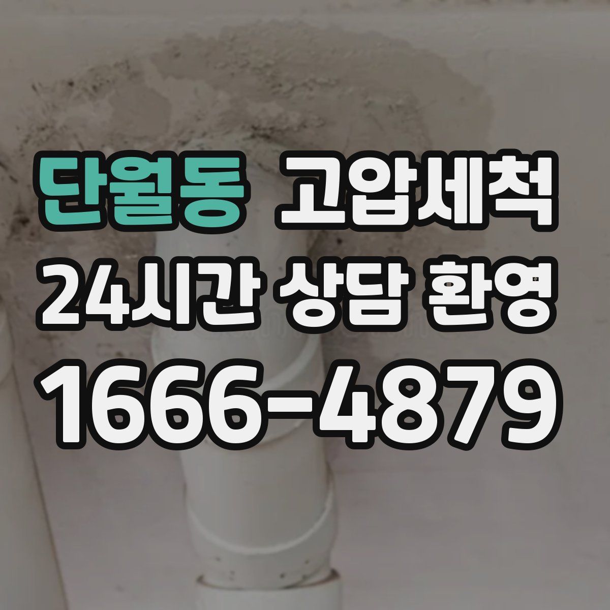 단월동 고압세척