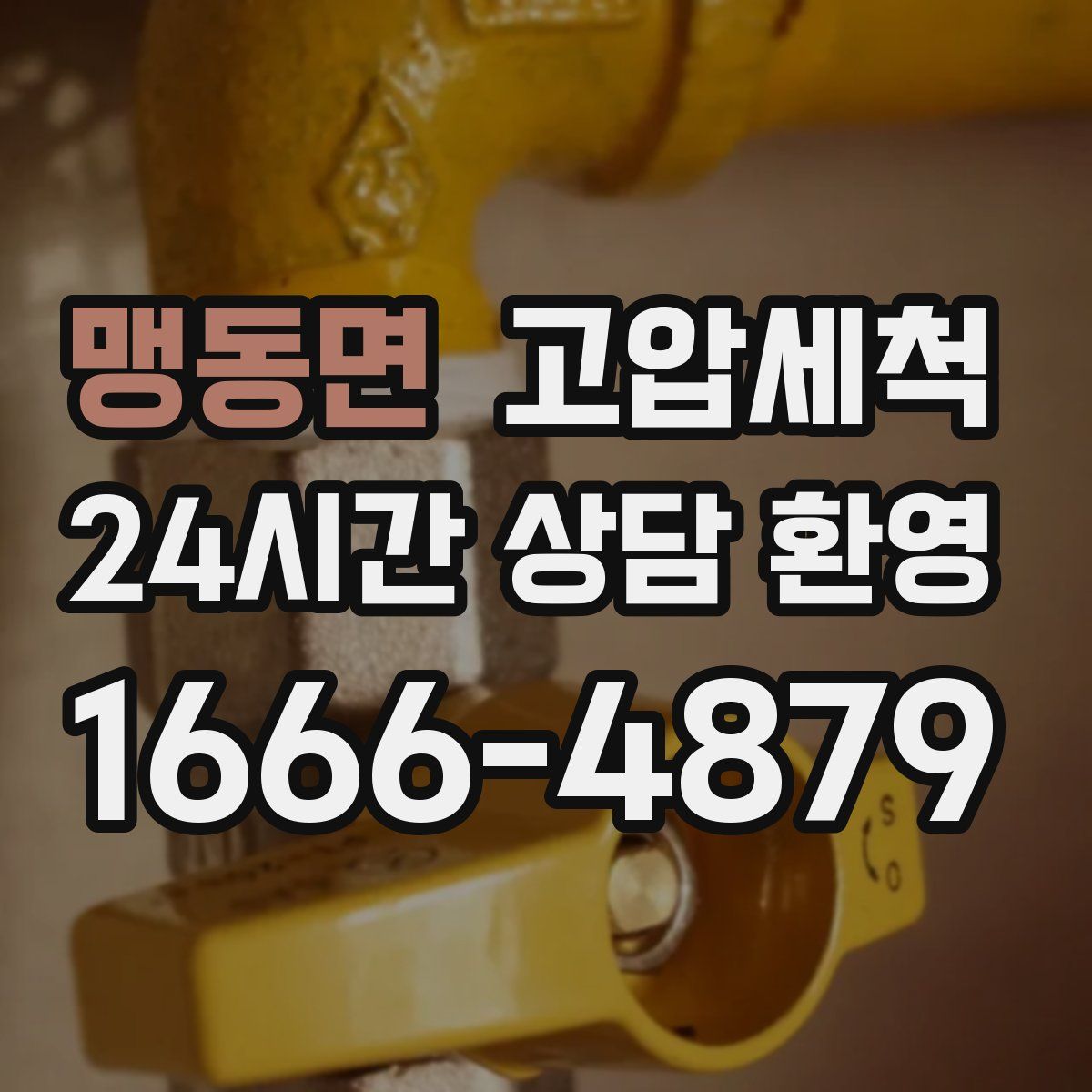 맹동면 고압세척