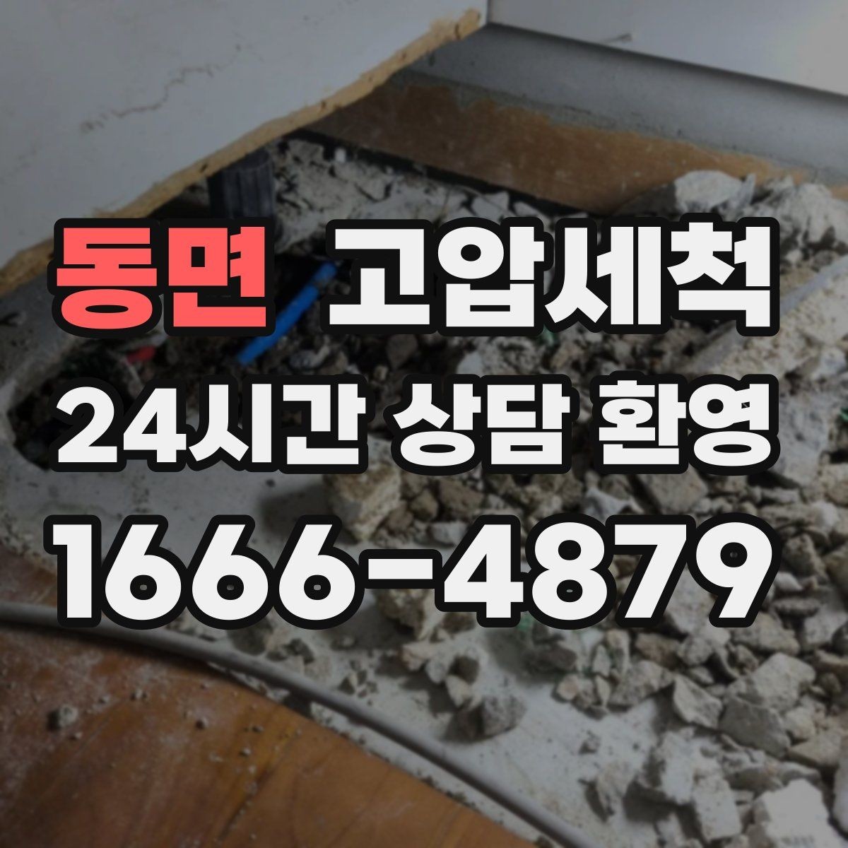 동면 고압세척 현관 확산 전 차단 작전