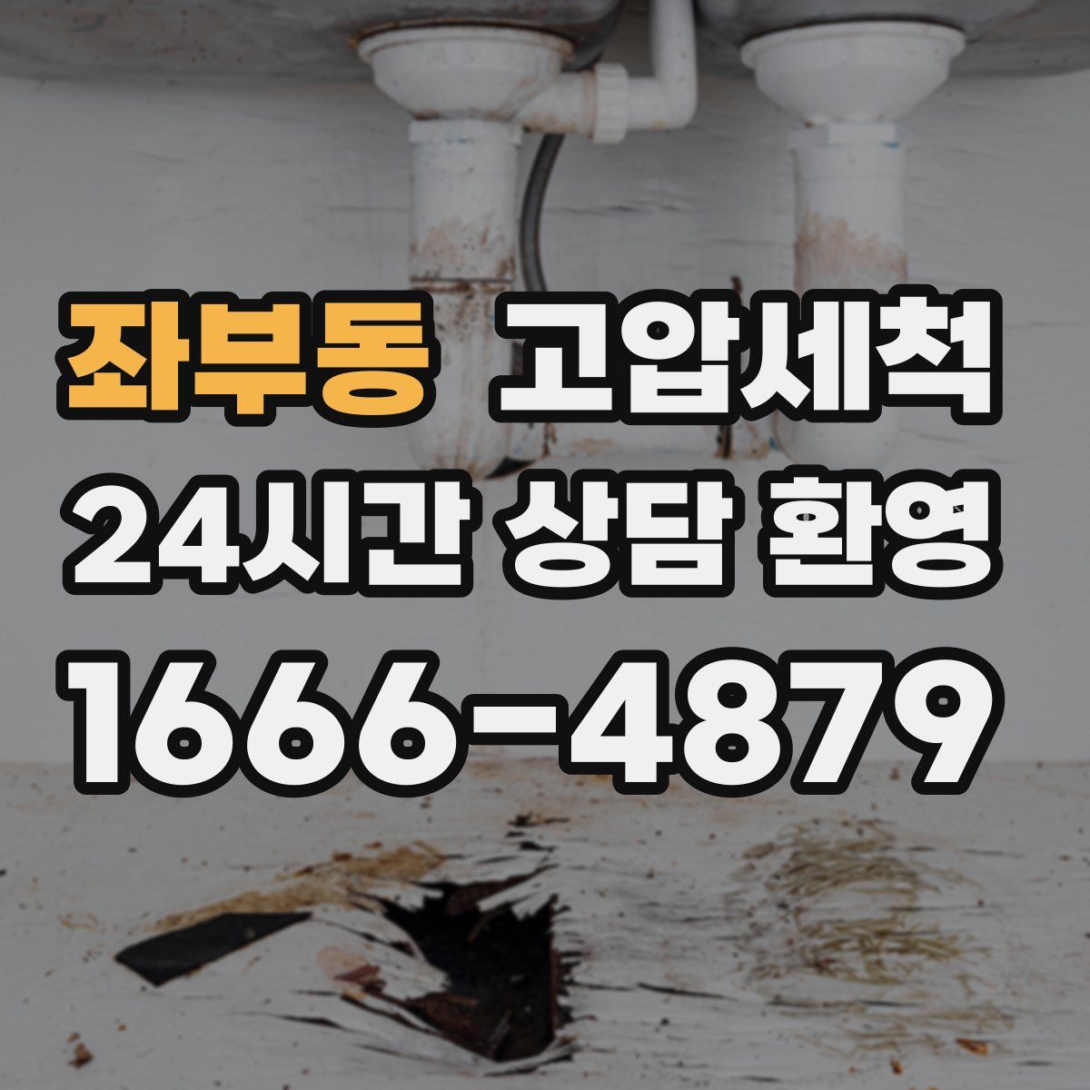 좌부동 고압세척