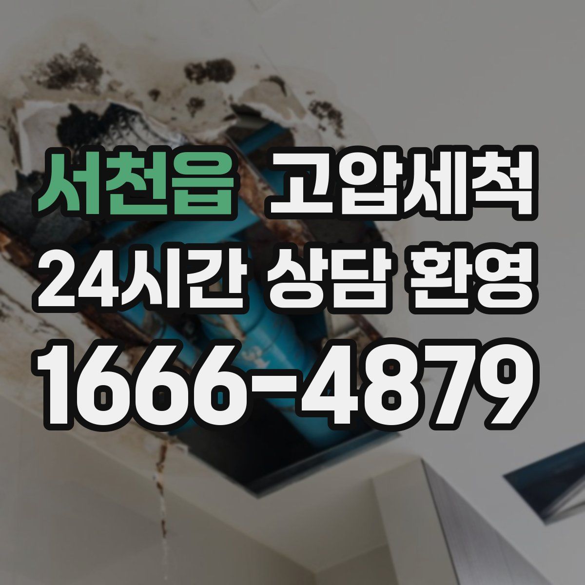 서천읍 고압세척