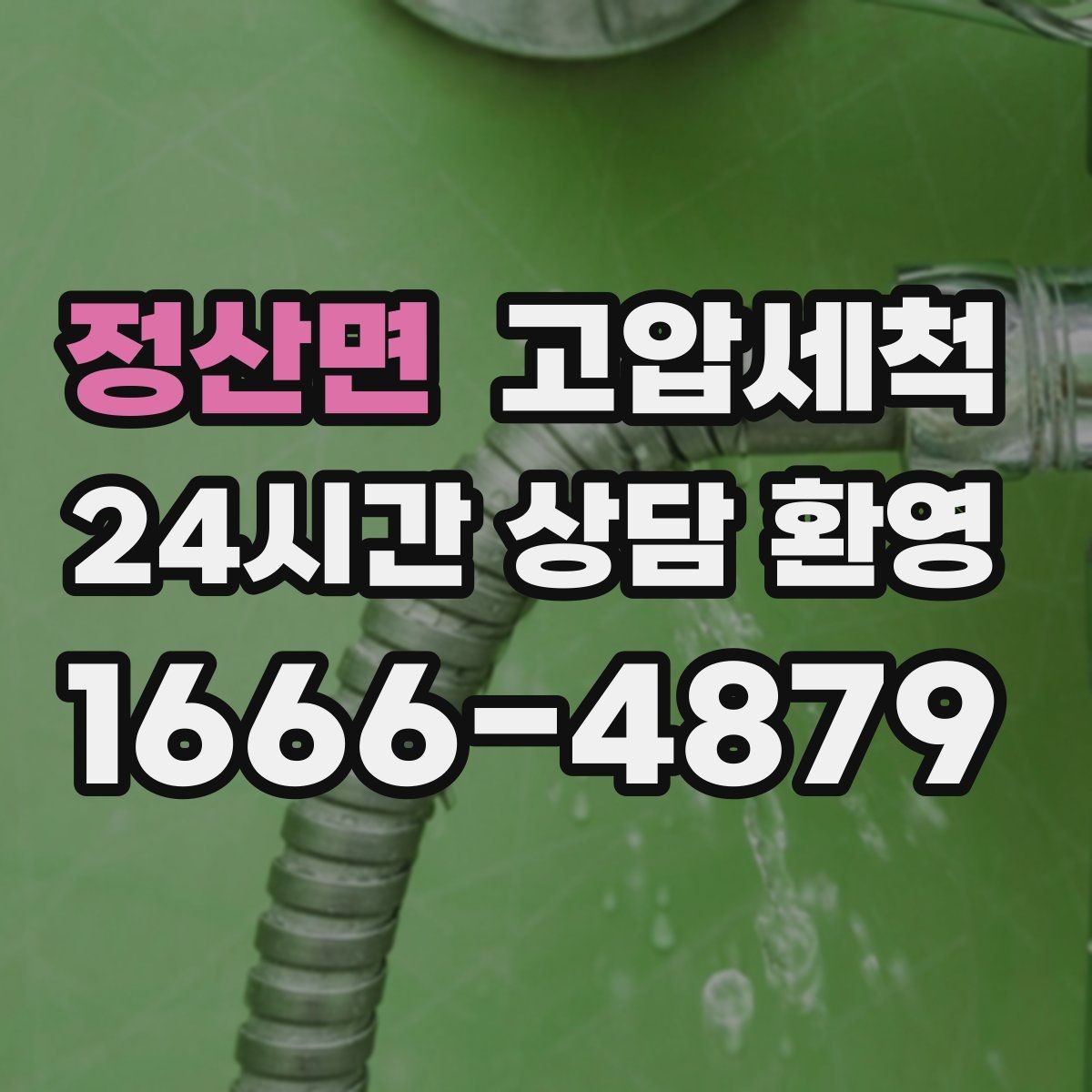 정산면 고압세척 현관 확산 전 차단 작전