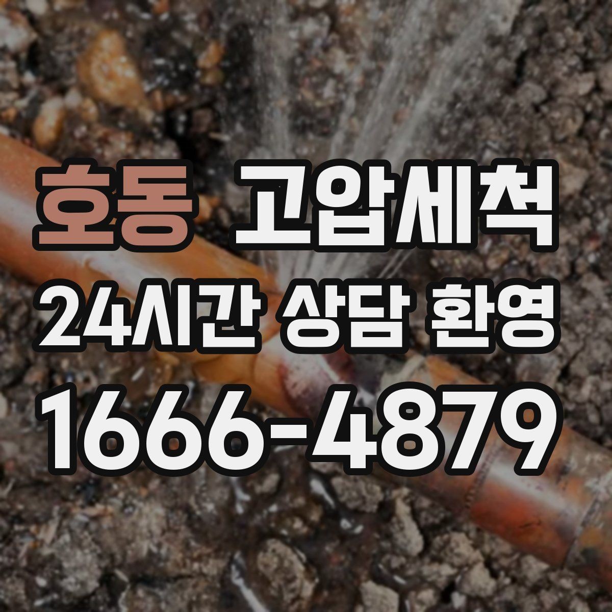 호동 고압세척 냄새 없는 현관을 위한 선택