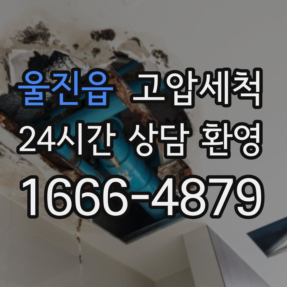 울진읍 고압세척