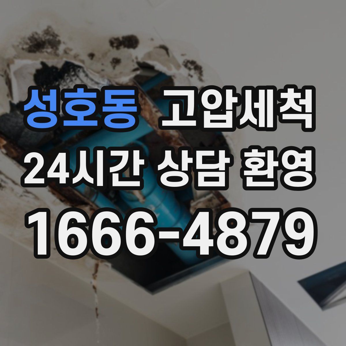 성호동 고압세척