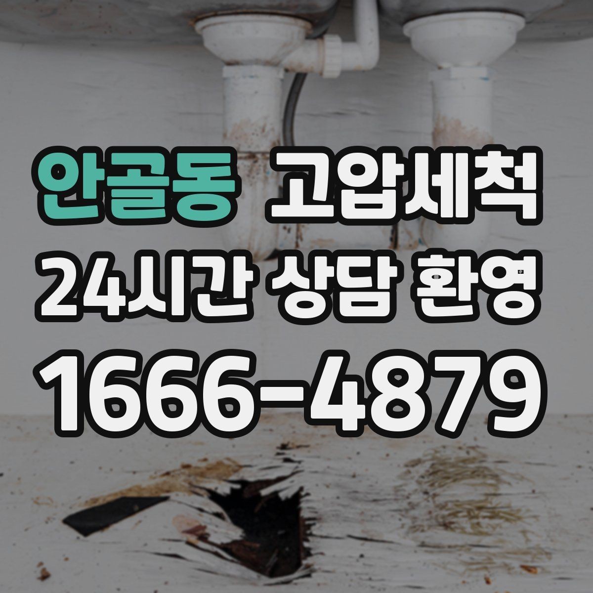 안골동 고압세척 하수구 냄새 제거 카페·매장 오픈 준비