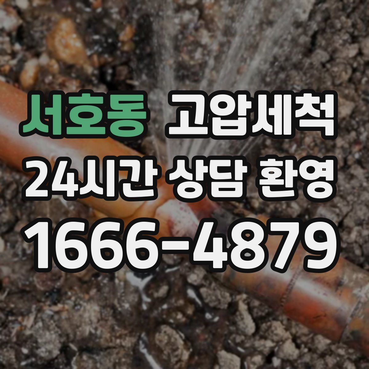 서호동 고압세척