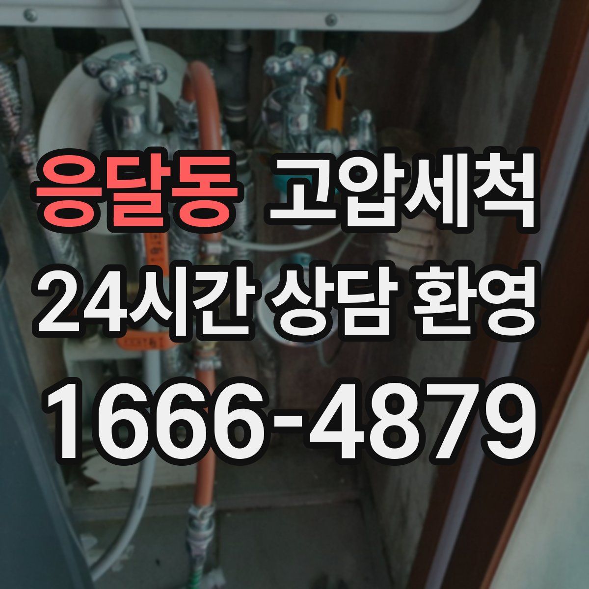 응달동 고압세척