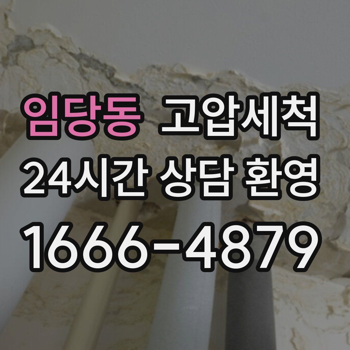 임당동 고압세척