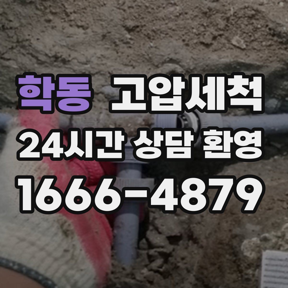학동 고압세척 하수구 냄새 제거 반려동물 배려 세정