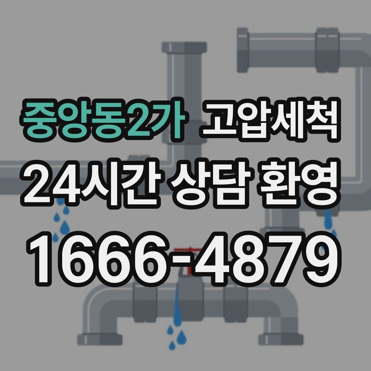 중앙동2가 고압세척 작은 냄새도 놓치지 않는 세정