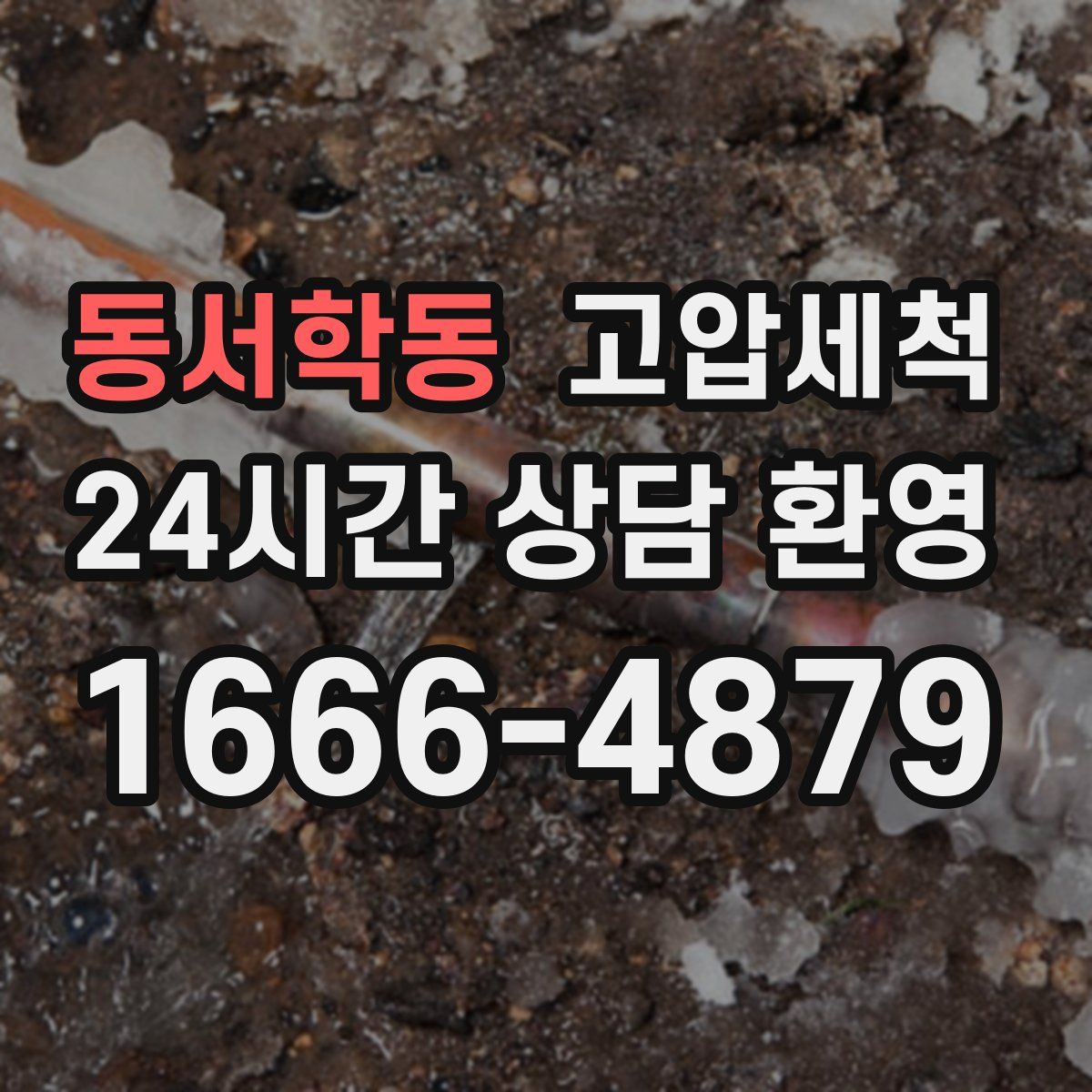 동서학동 고압세척