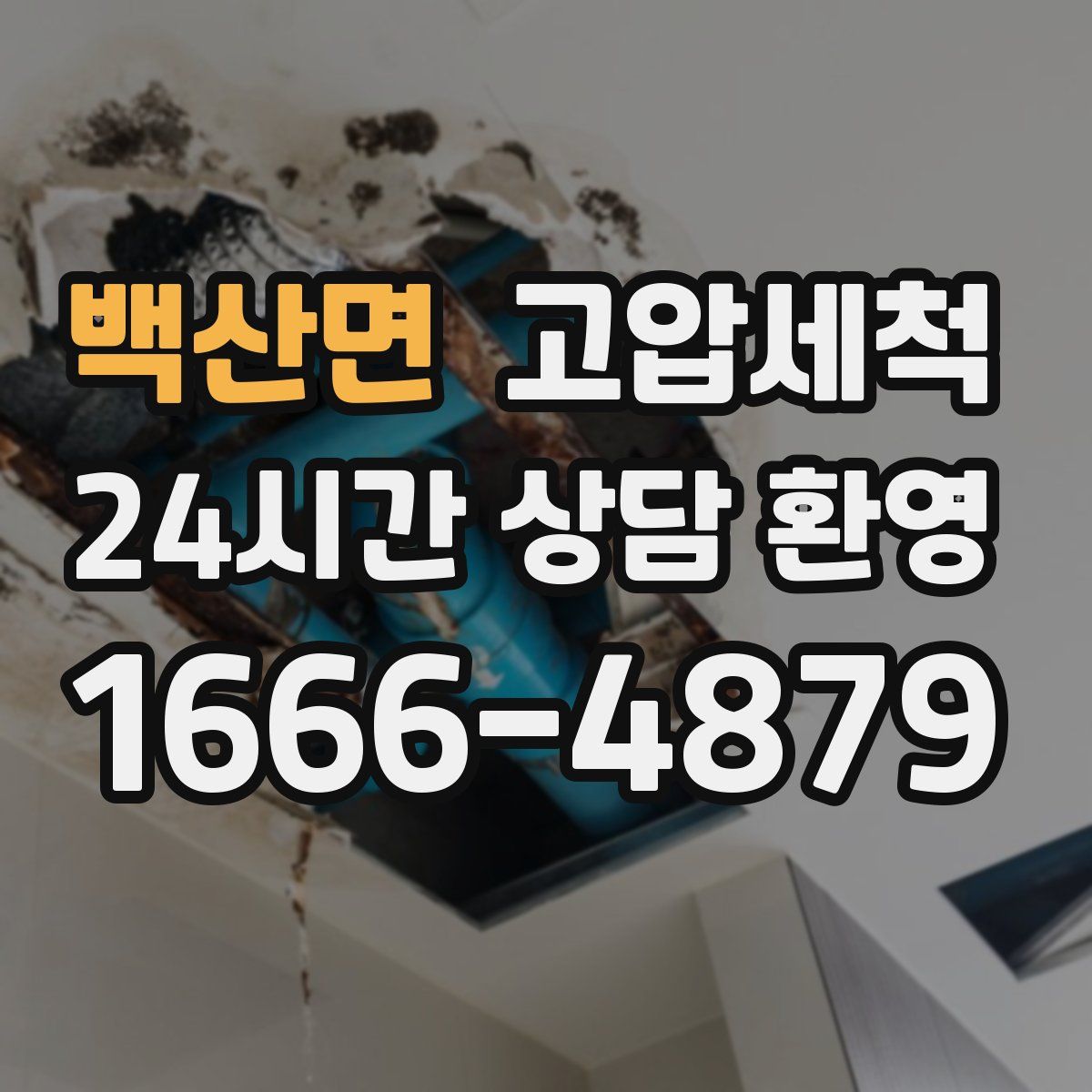 백산면 고압세척