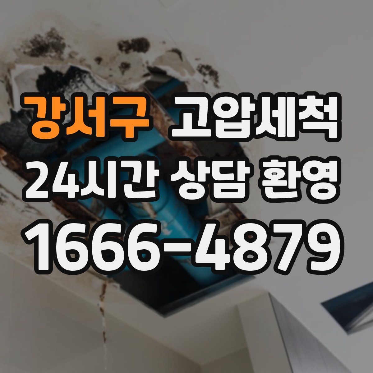 강서구 고압세척