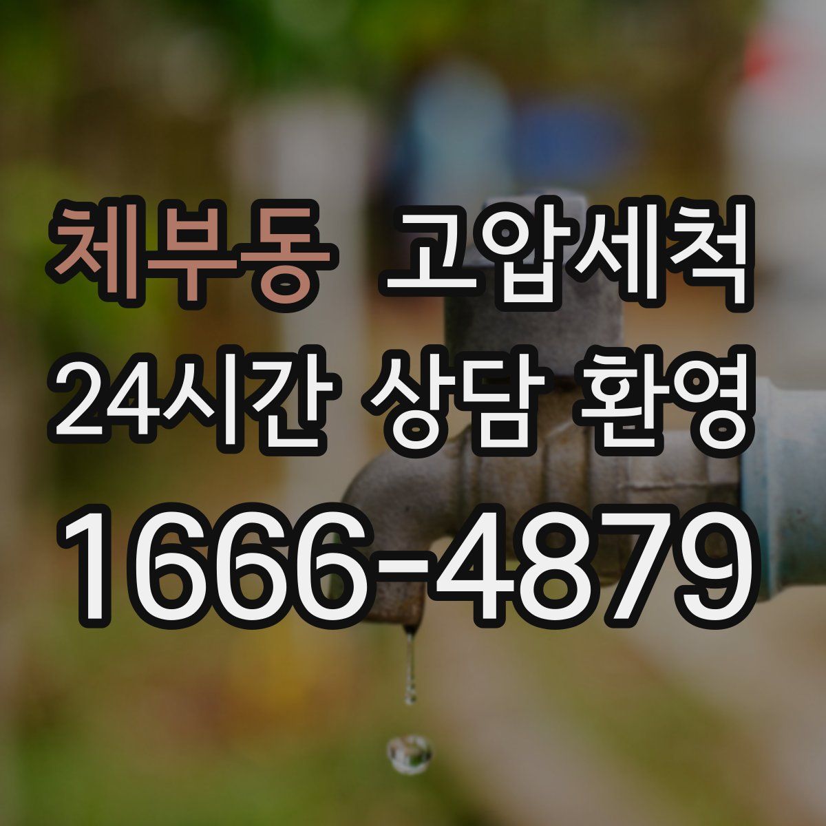 체부동 고압세척