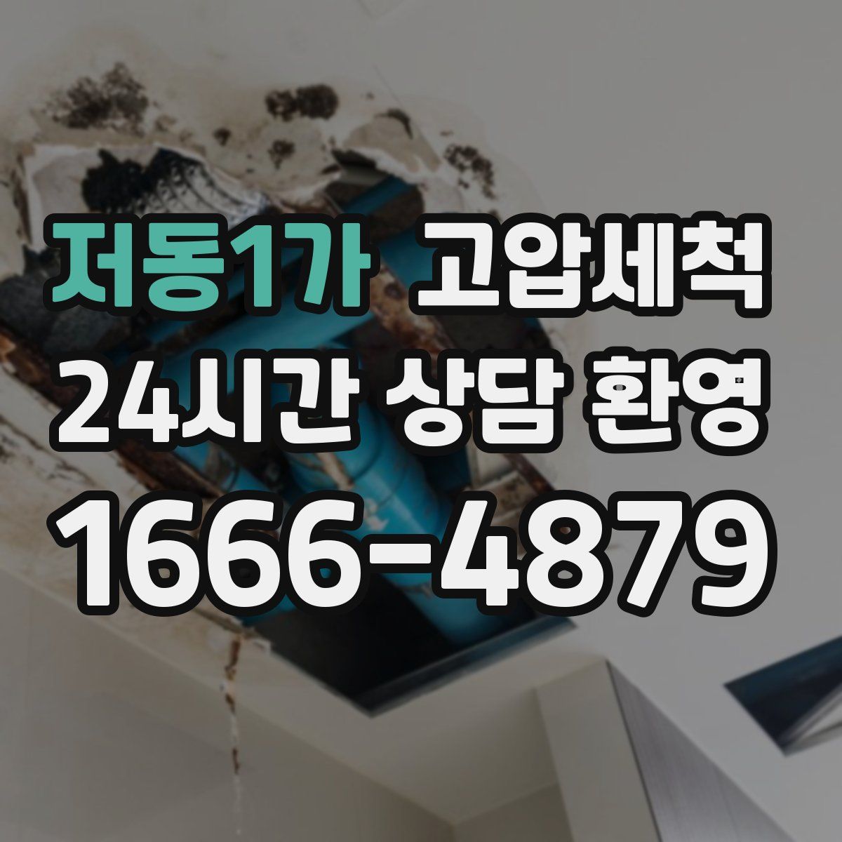 저동1가 고압세척